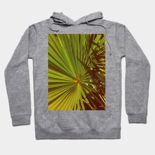 Tropical Palm Trees Hoodie